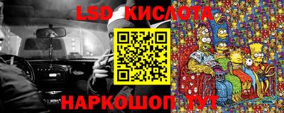 СК Кандалакша