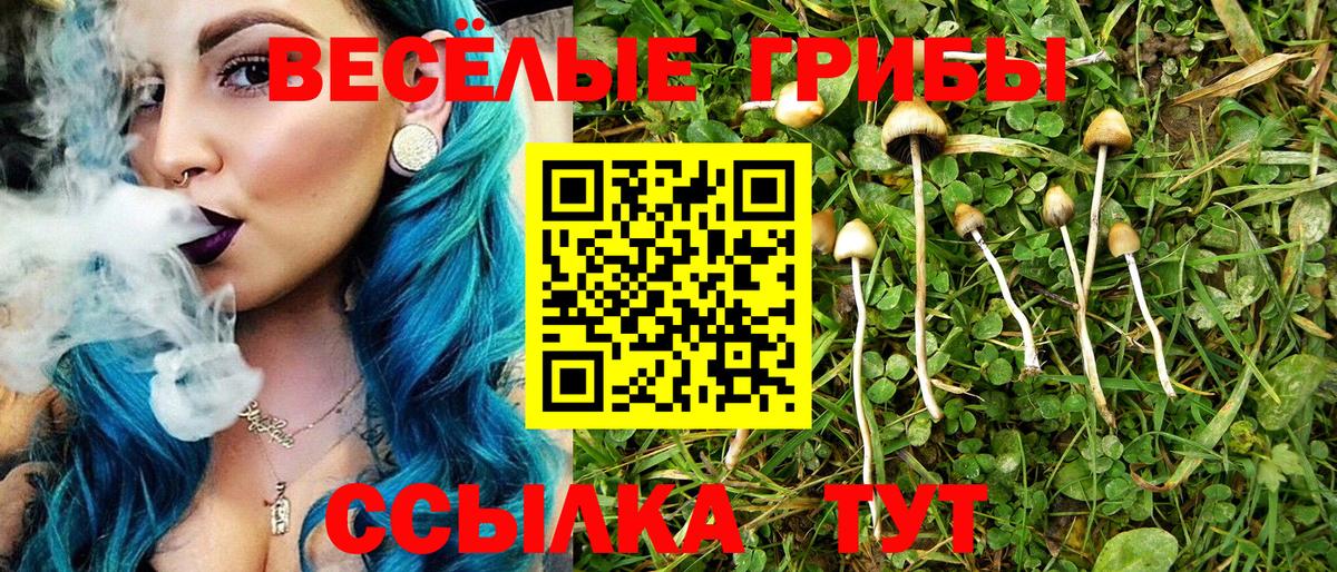 Псилоцибиновые грибы ЛСД Красногорск